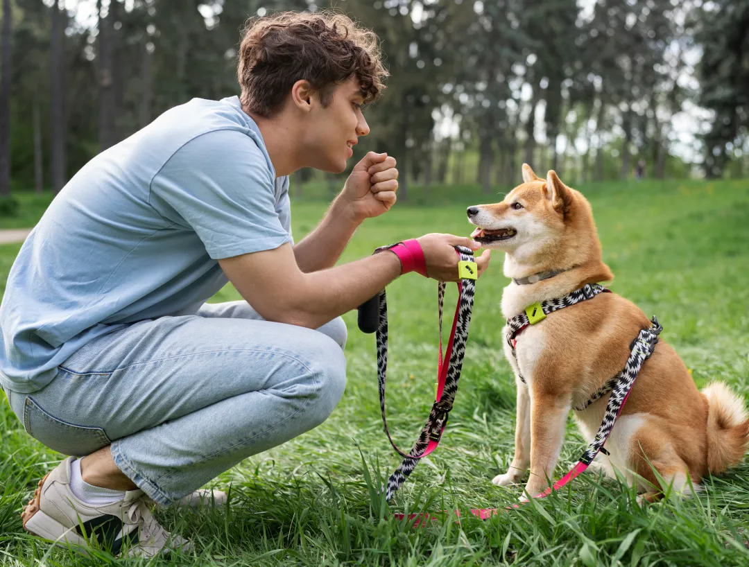 Comprehensive Solution for IoT Pet Trackers