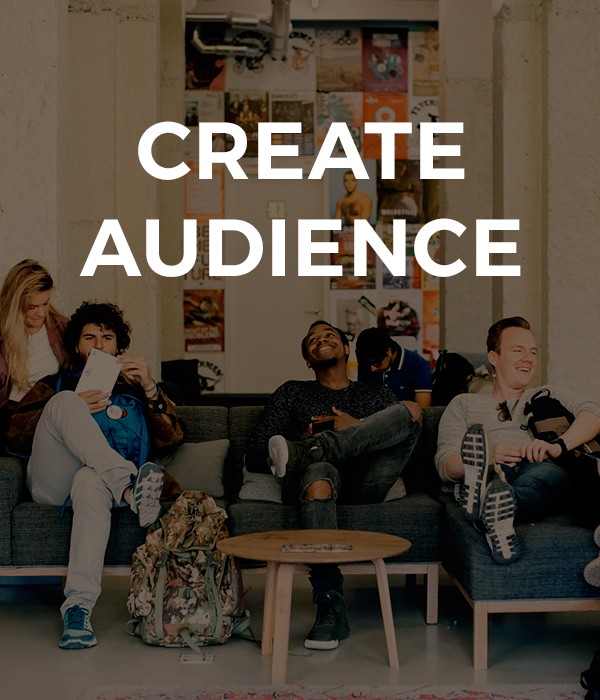 Create Audience