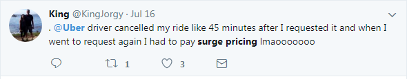 The Inorganically-made Surge Pricing - trootech