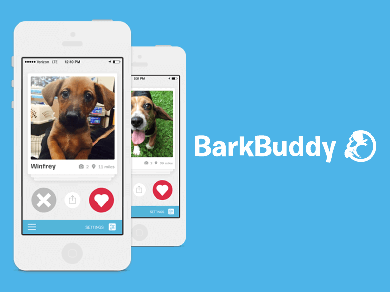 bark-buddy_Clone Niches Of Tinder for X -trootech