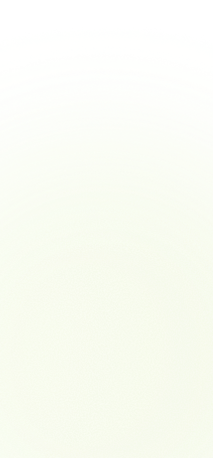 banner-vector-mobile